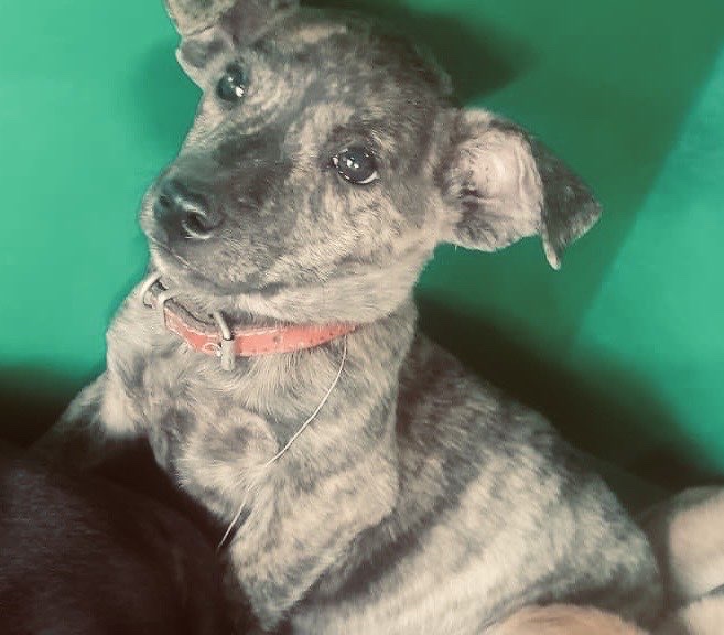 ✨Hazel ✨