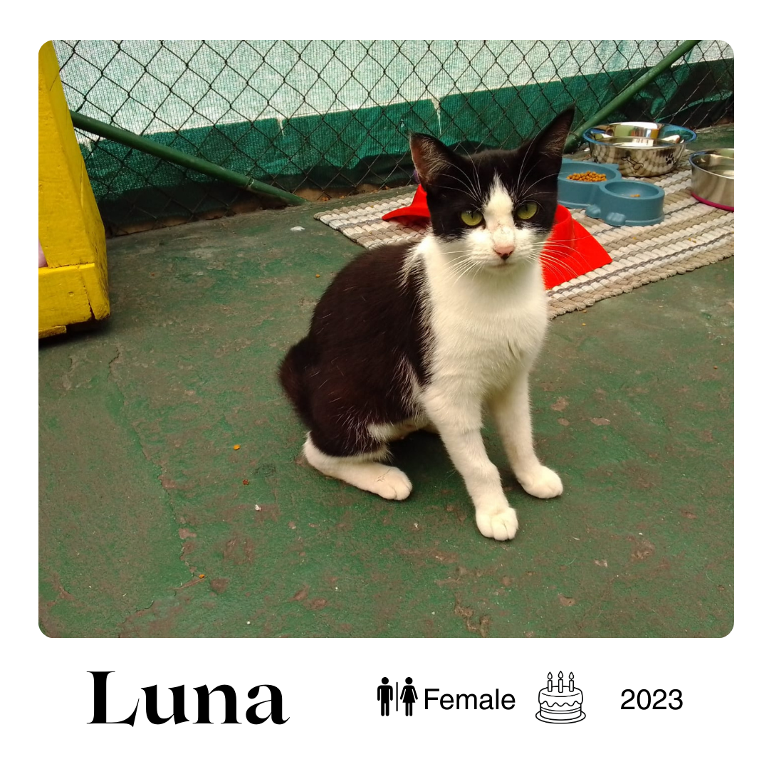 Luna