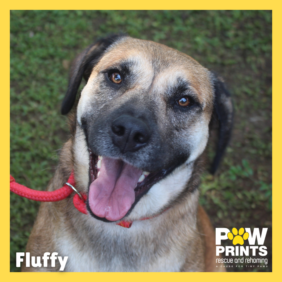 Fluffy