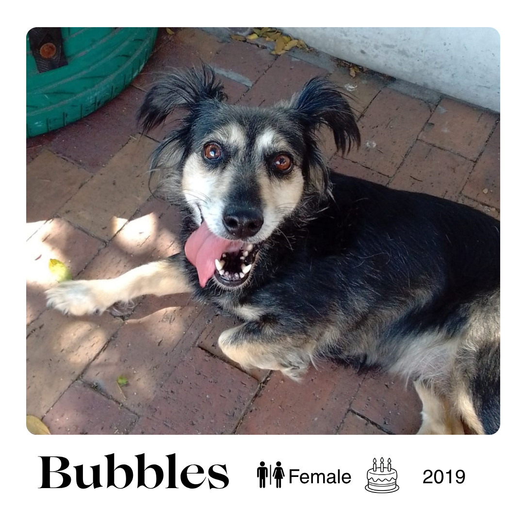 Bubbles