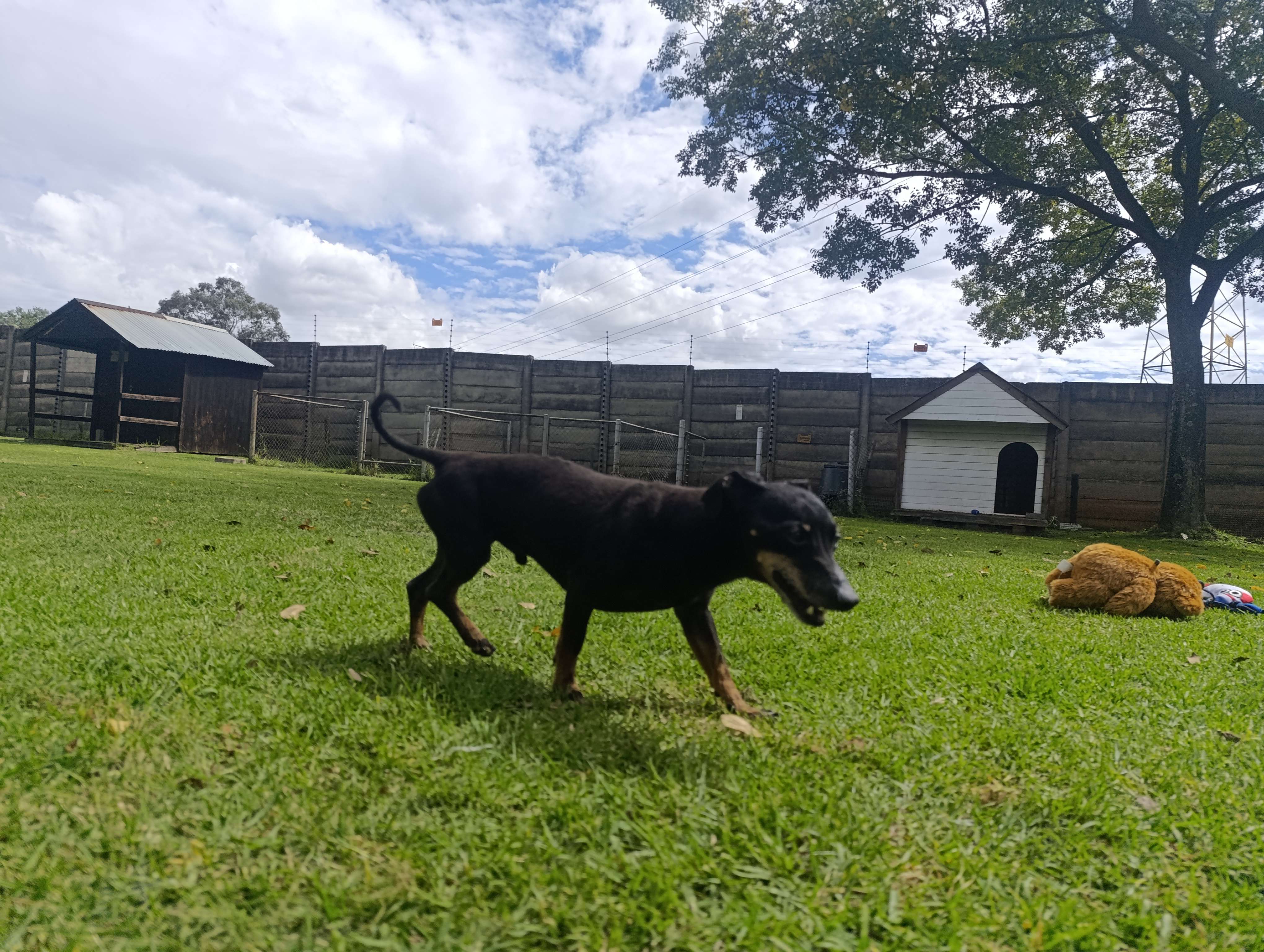 Max
