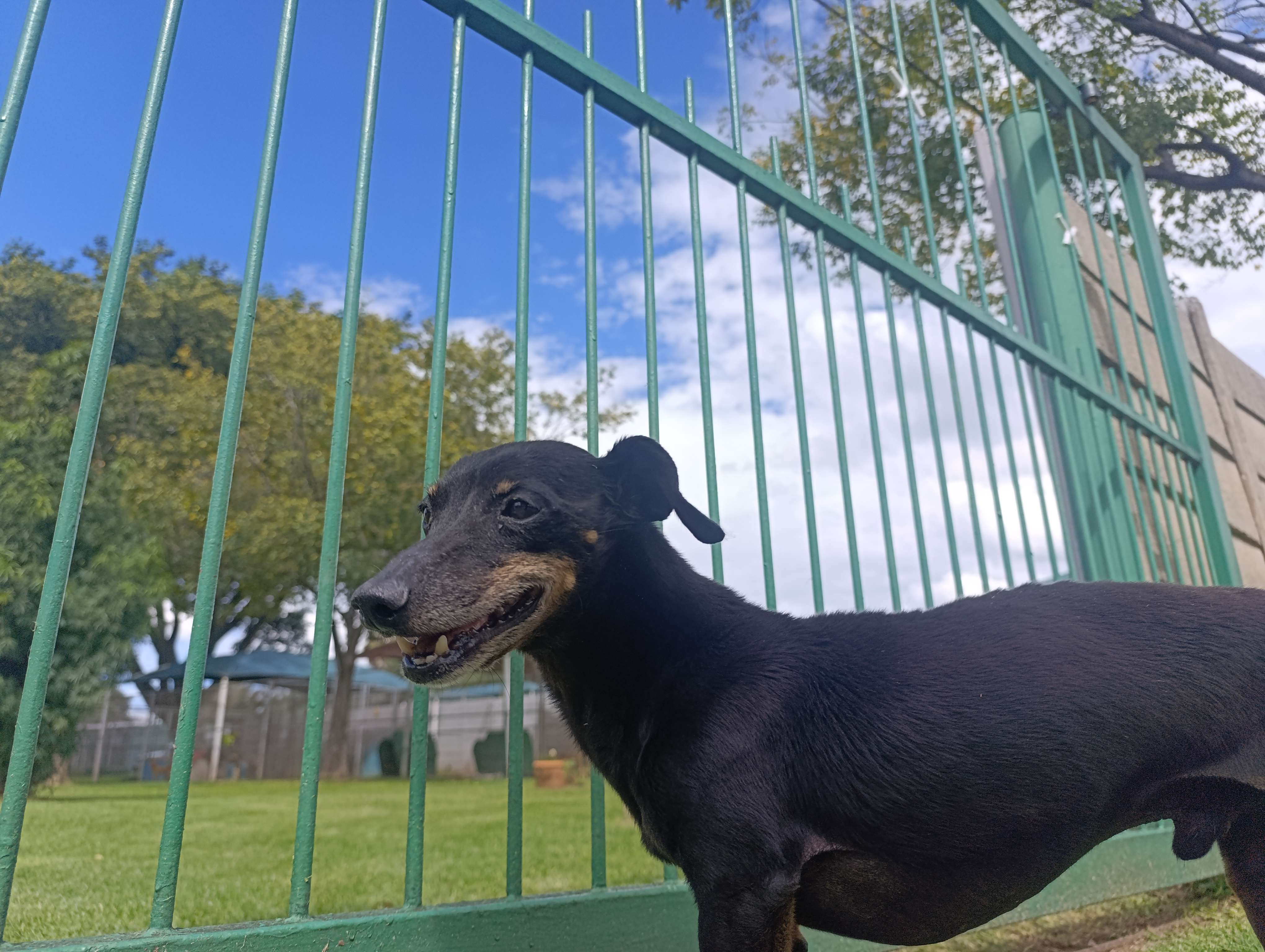 Max