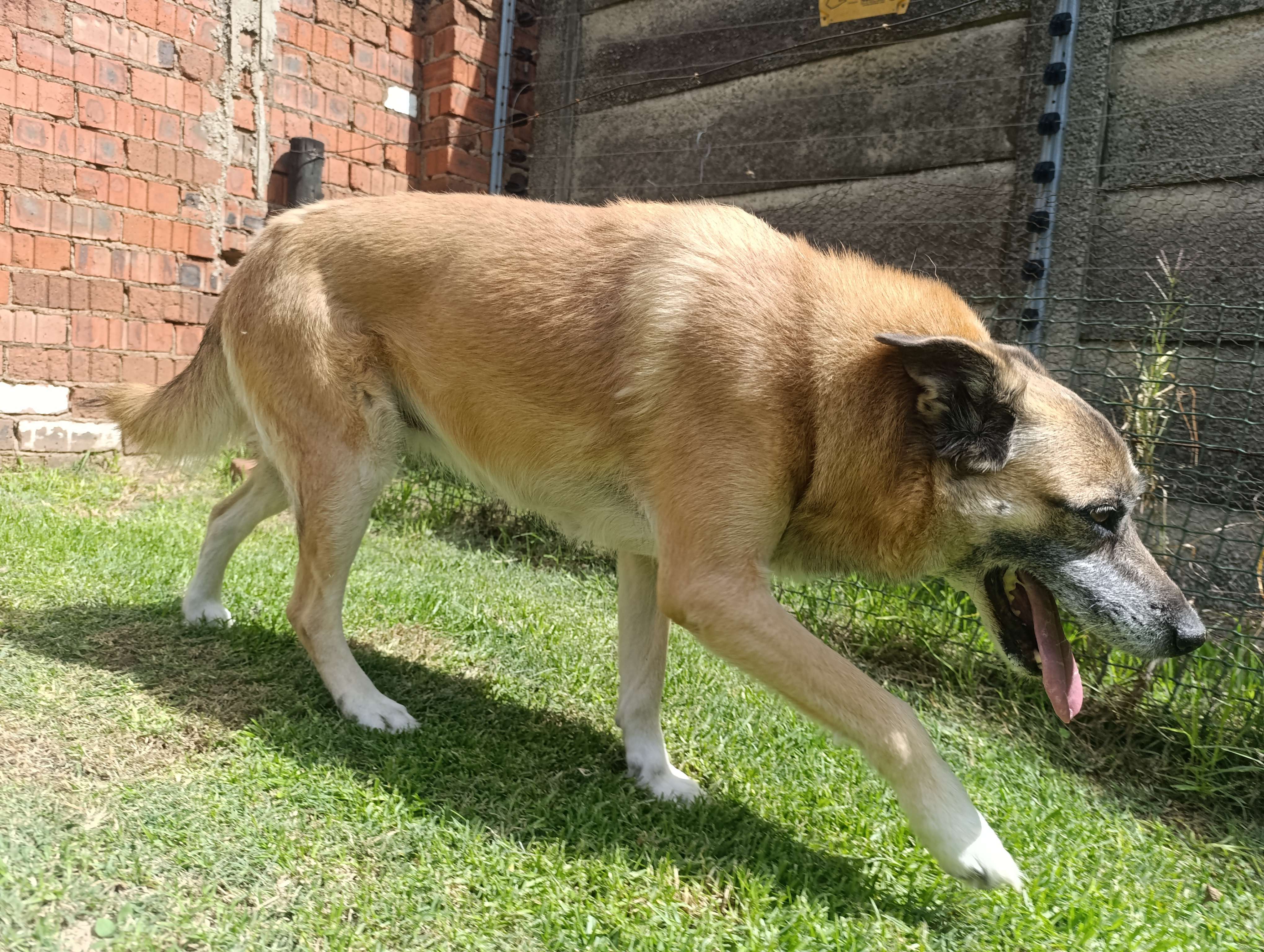 Chloe