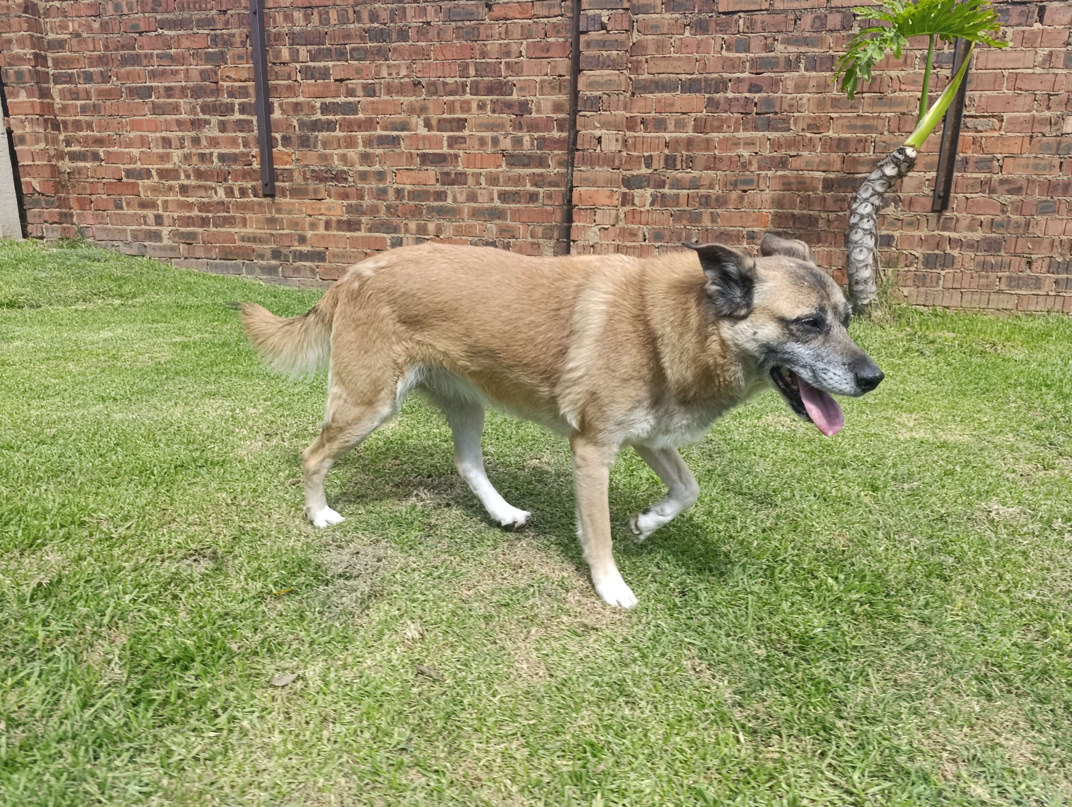 Chloe