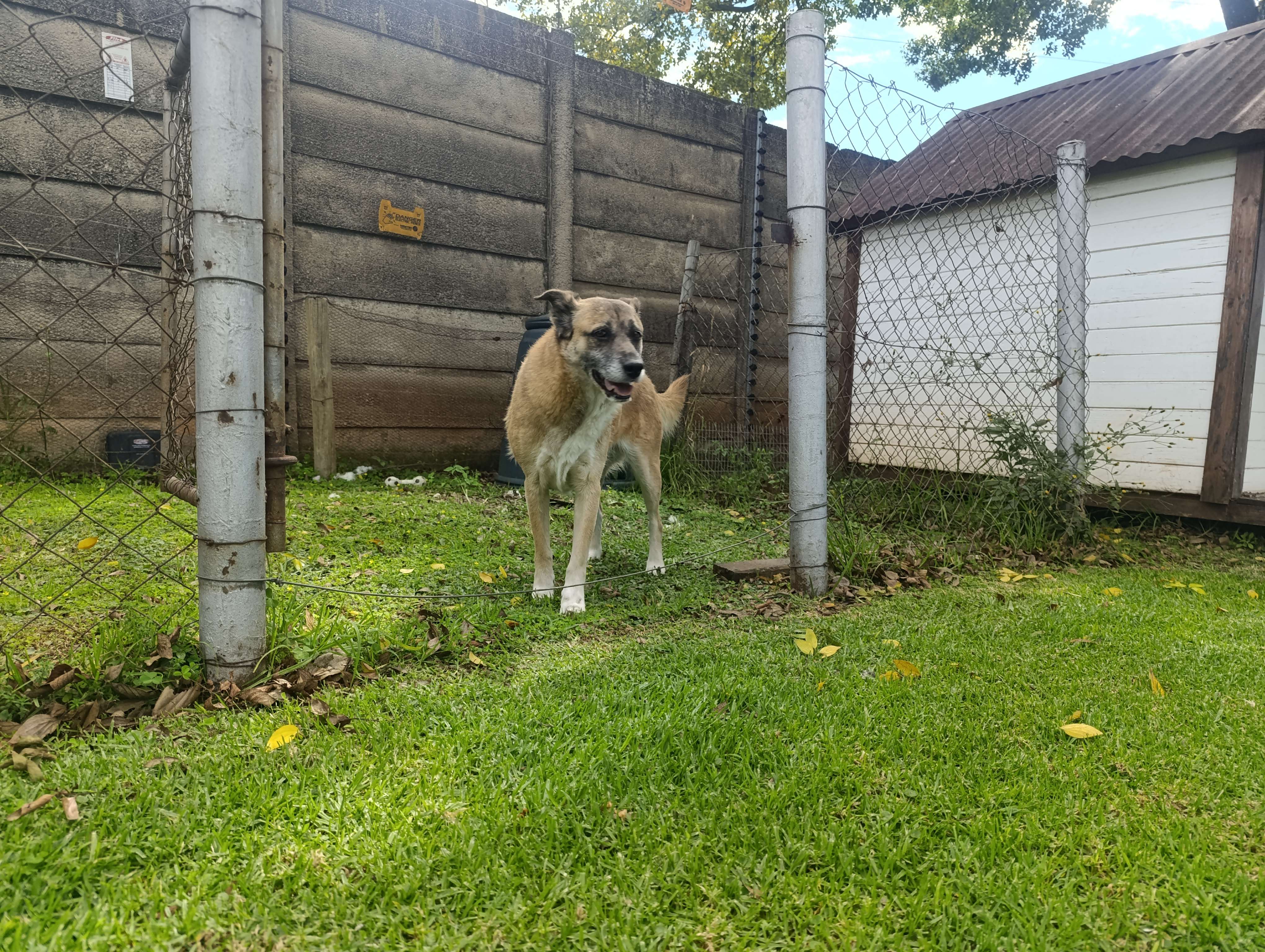 Chloe