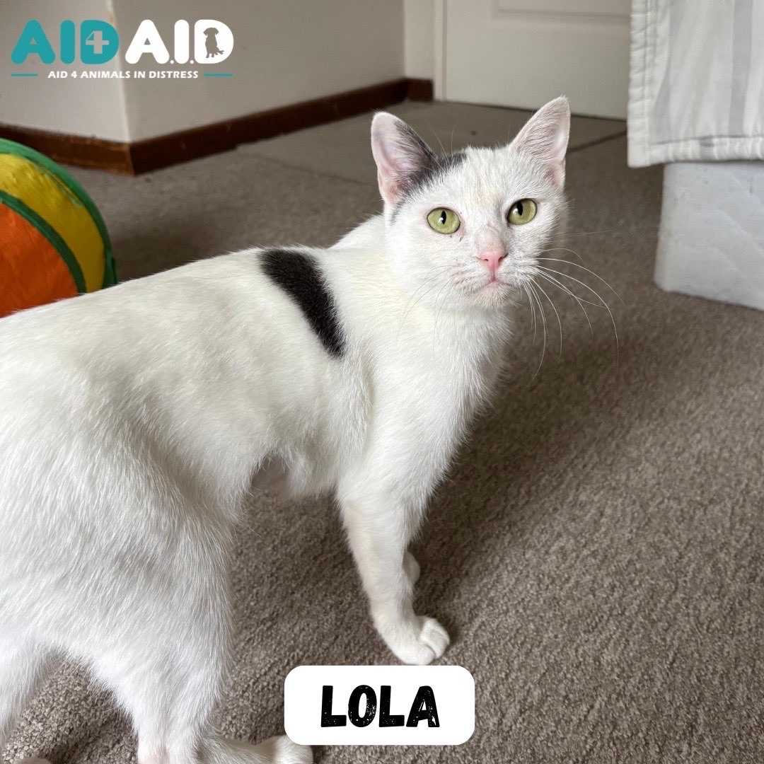 Lola
