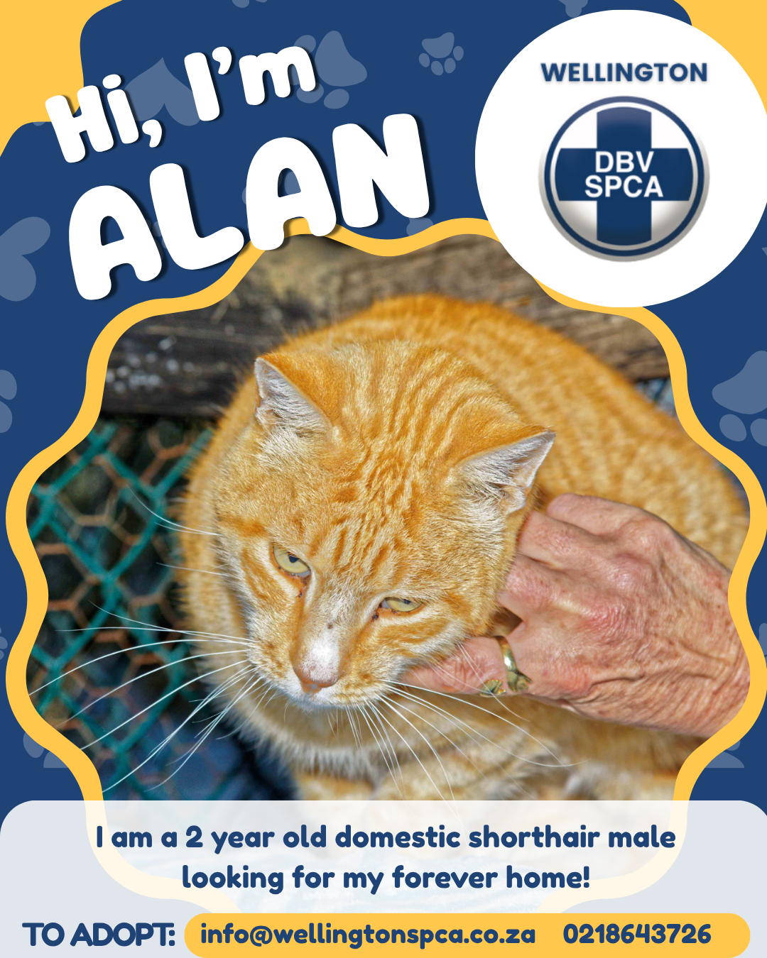 ALAN