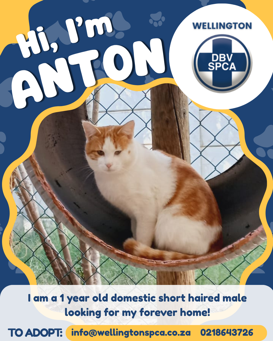ANTON