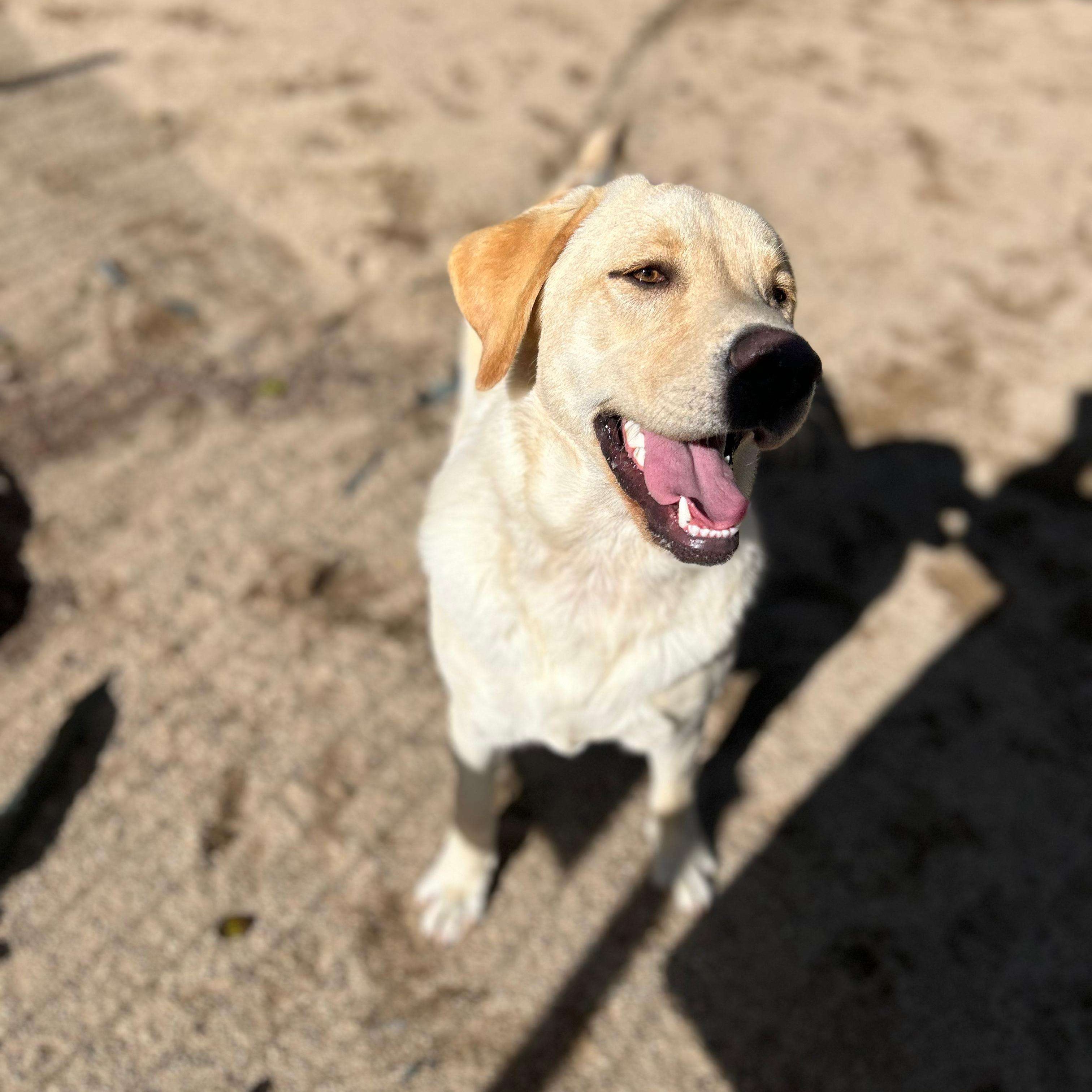 Marley 