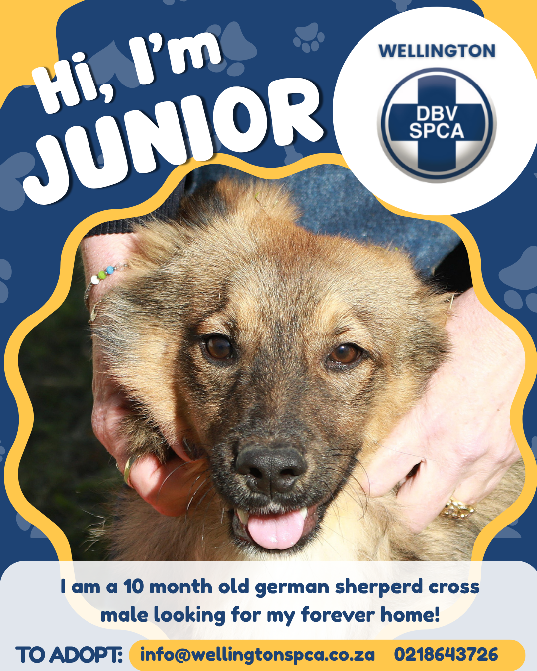 JUNIOR