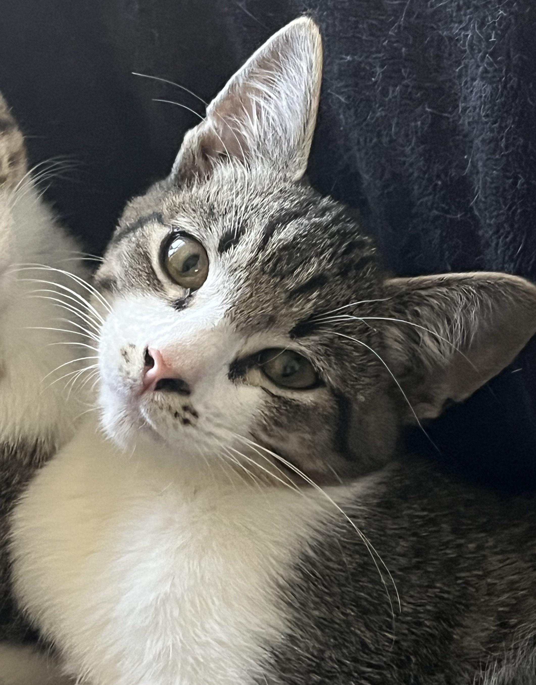 Pixel