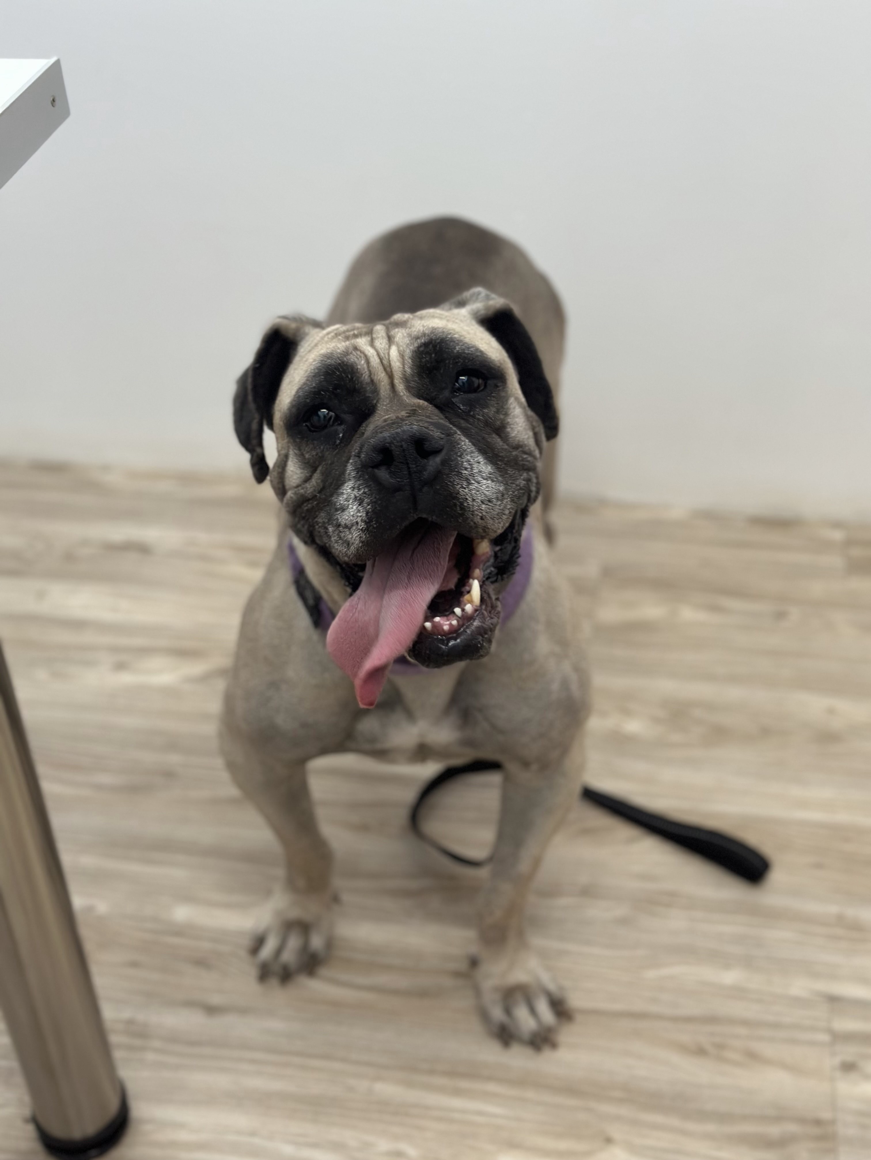 Nala