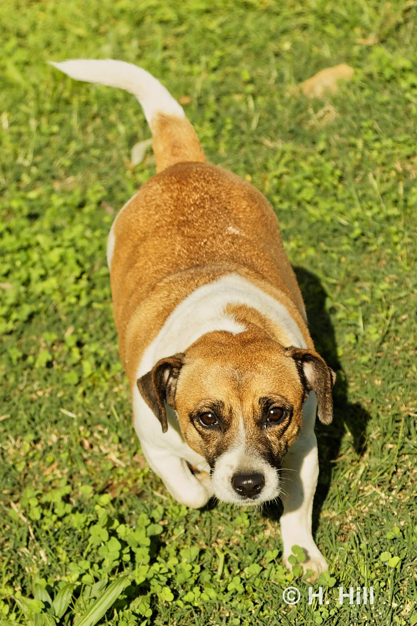 NIKITA