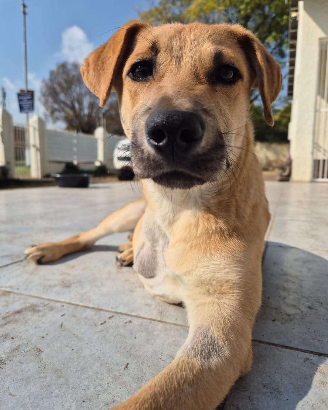 Spud 