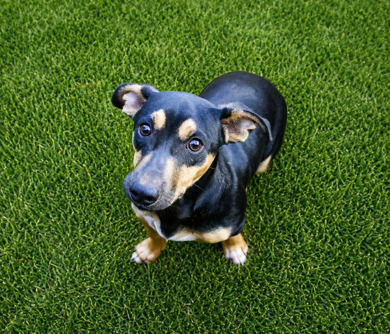 Turbo 