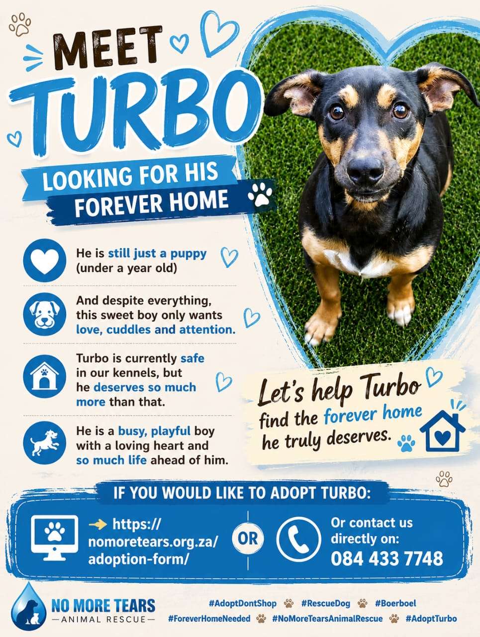 Turbo 