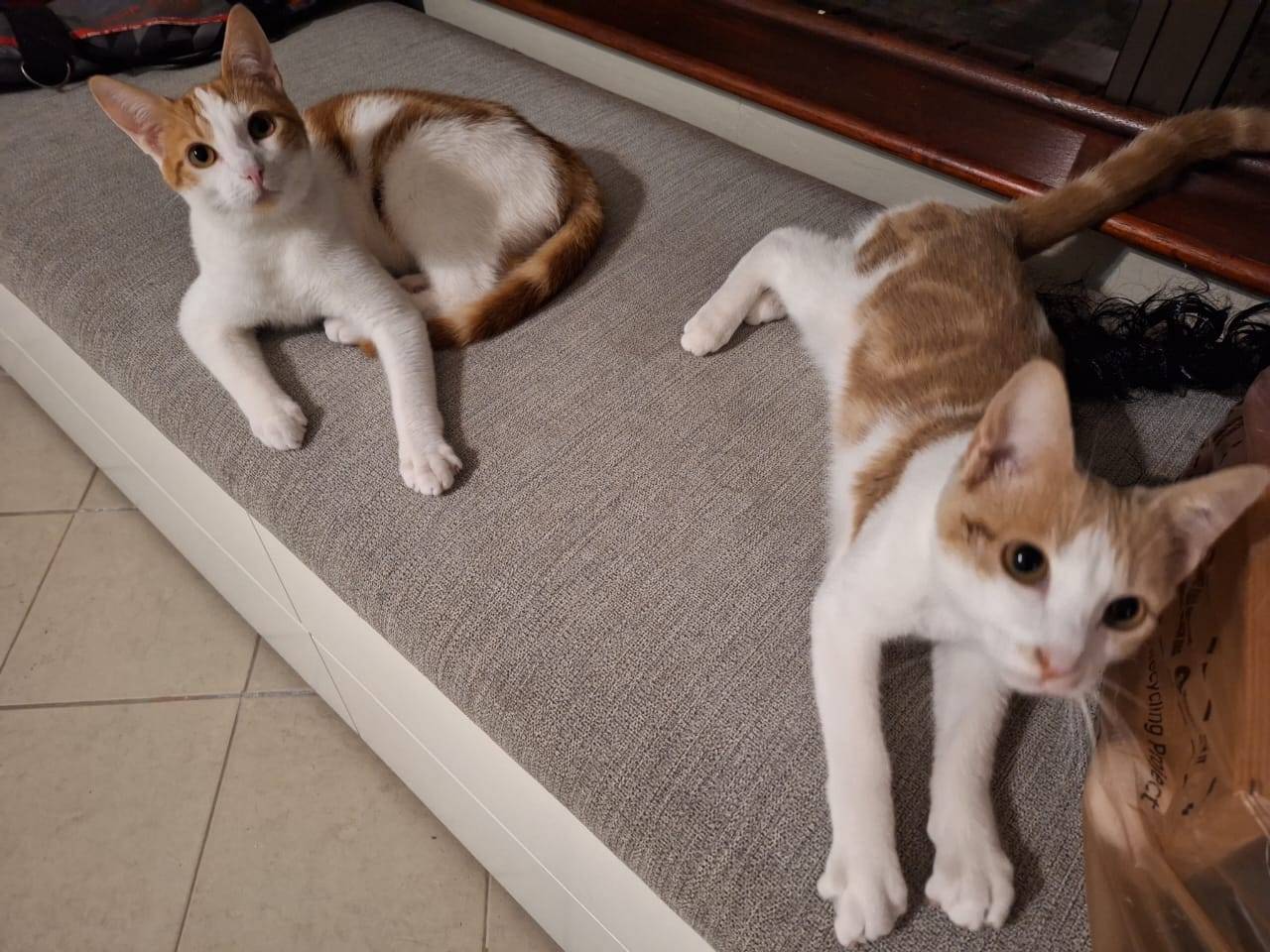 Liam & Finn