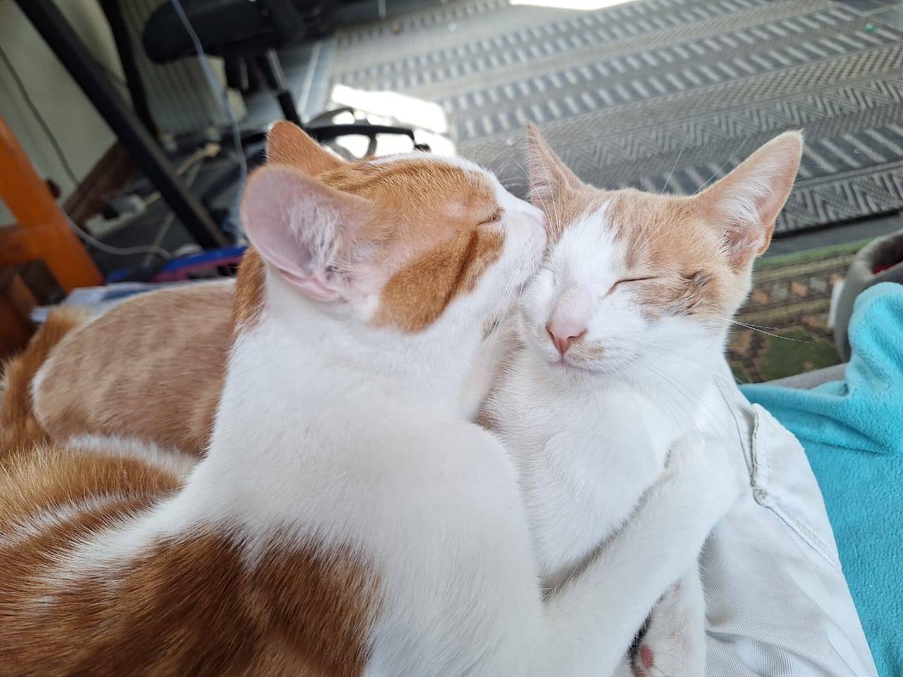 Liam & Finn