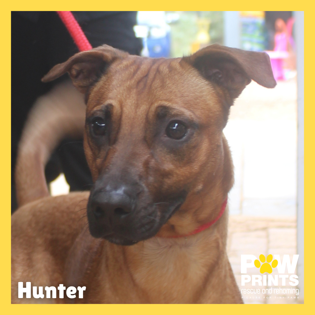 Hunter
