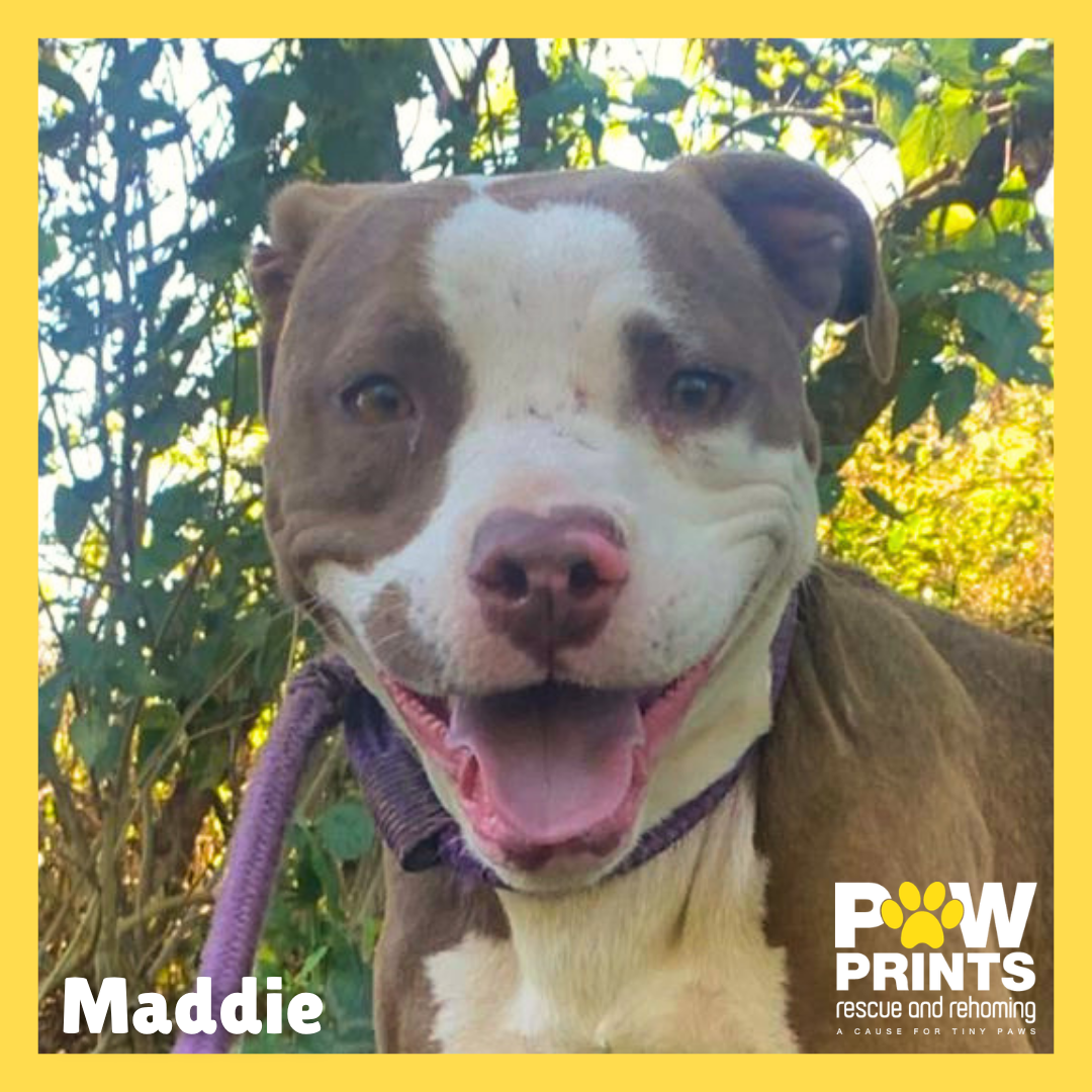 Maddie