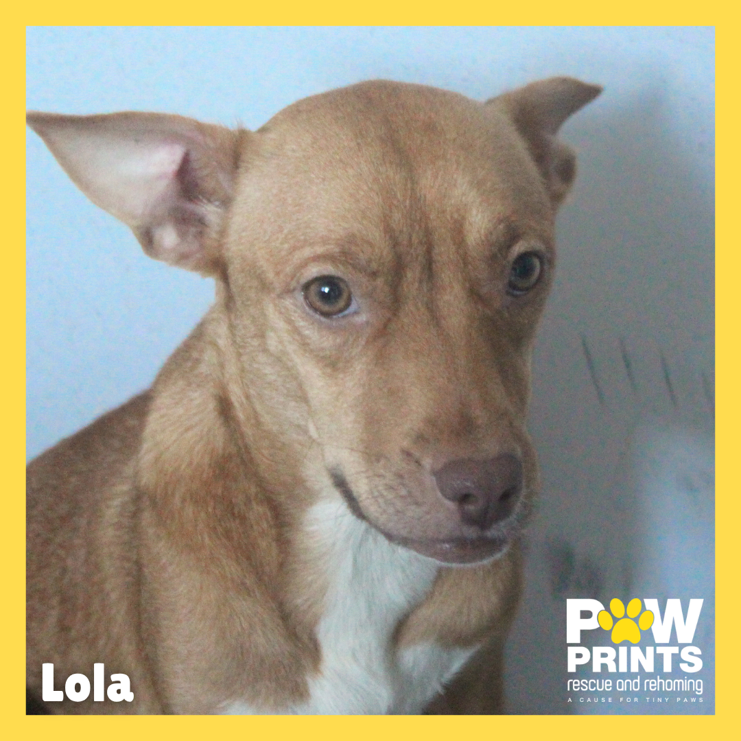 Lola