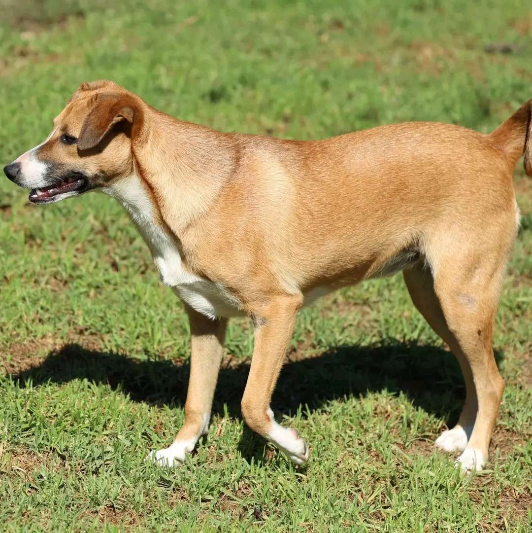 Suzie