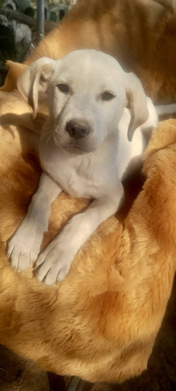 Little Miracle ❤️