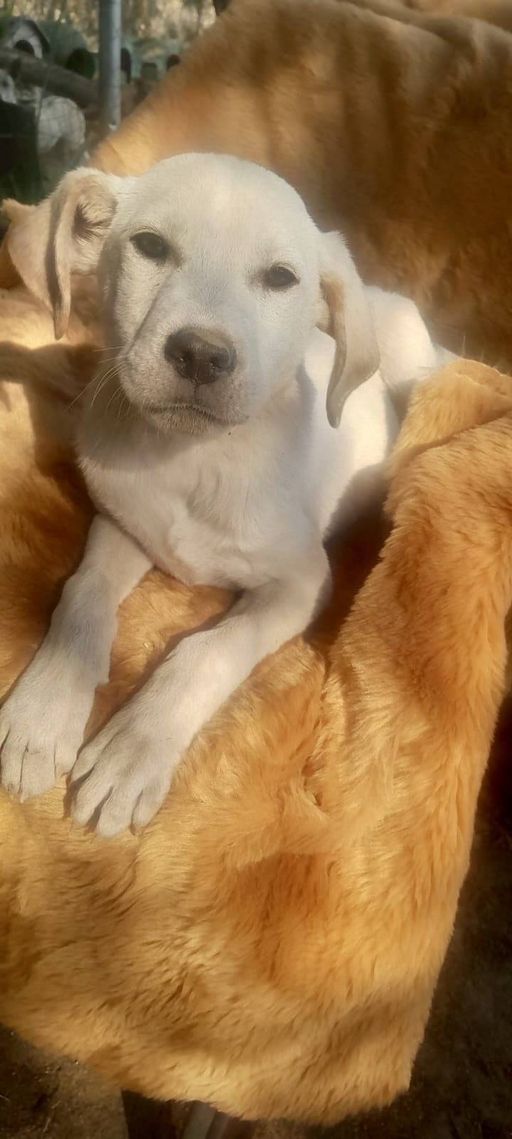 Little Miracle ❤️