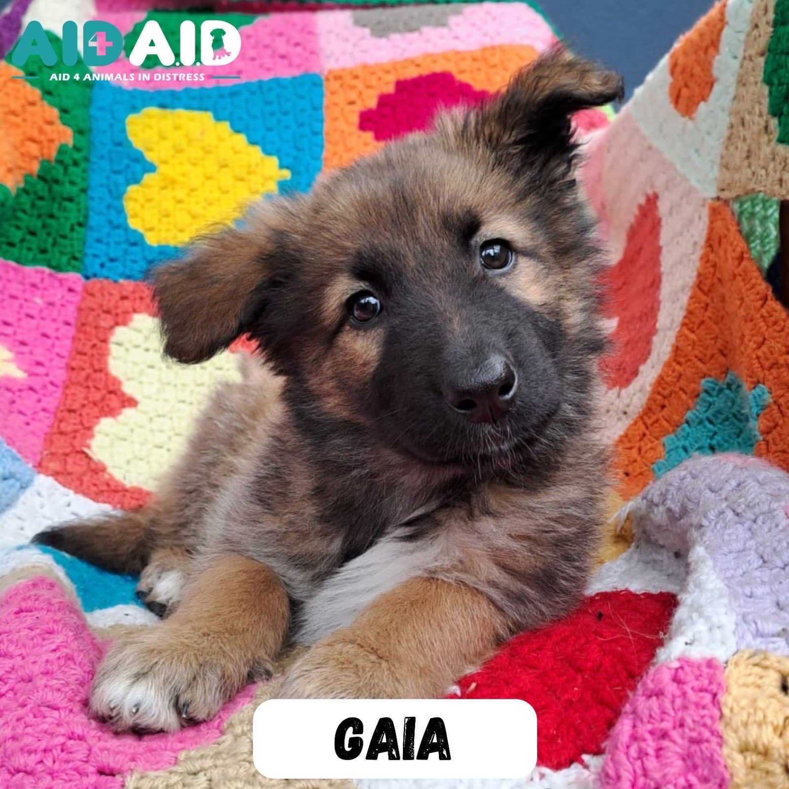 Gaia