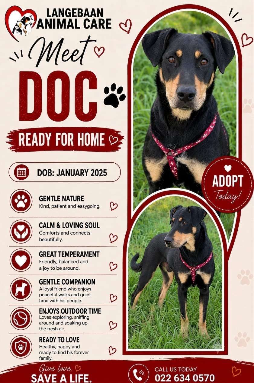 Doc