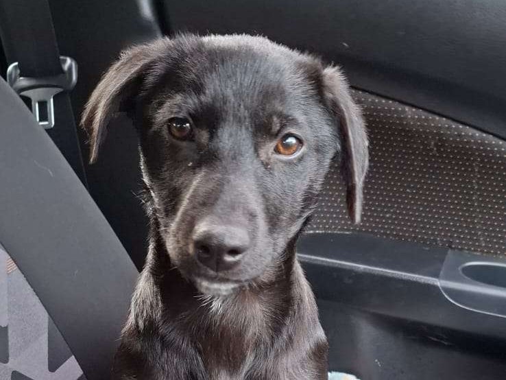 Luna