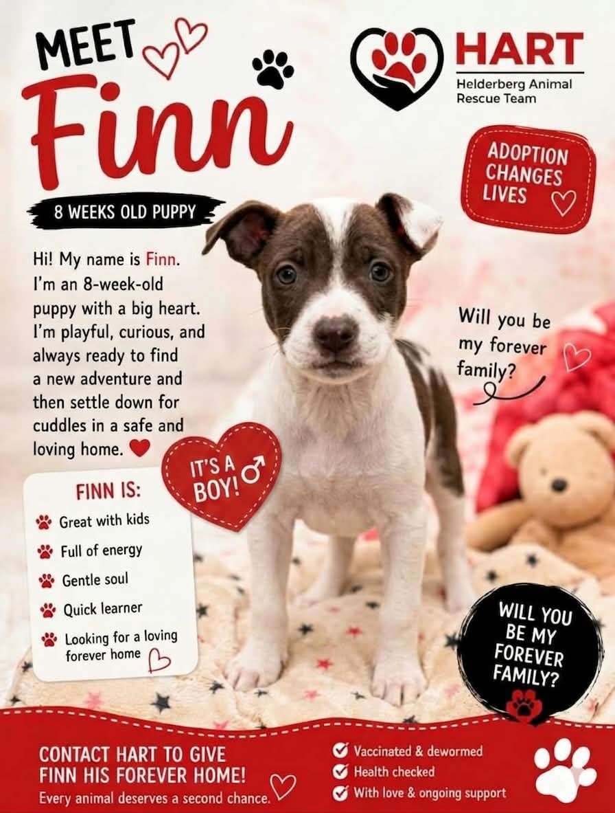 Finn