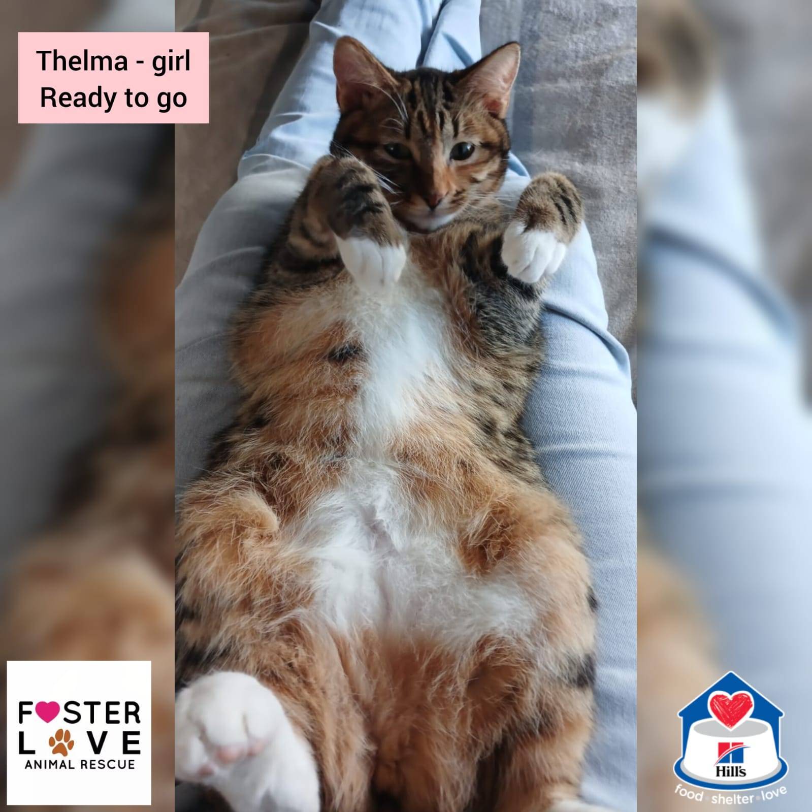 Thelma