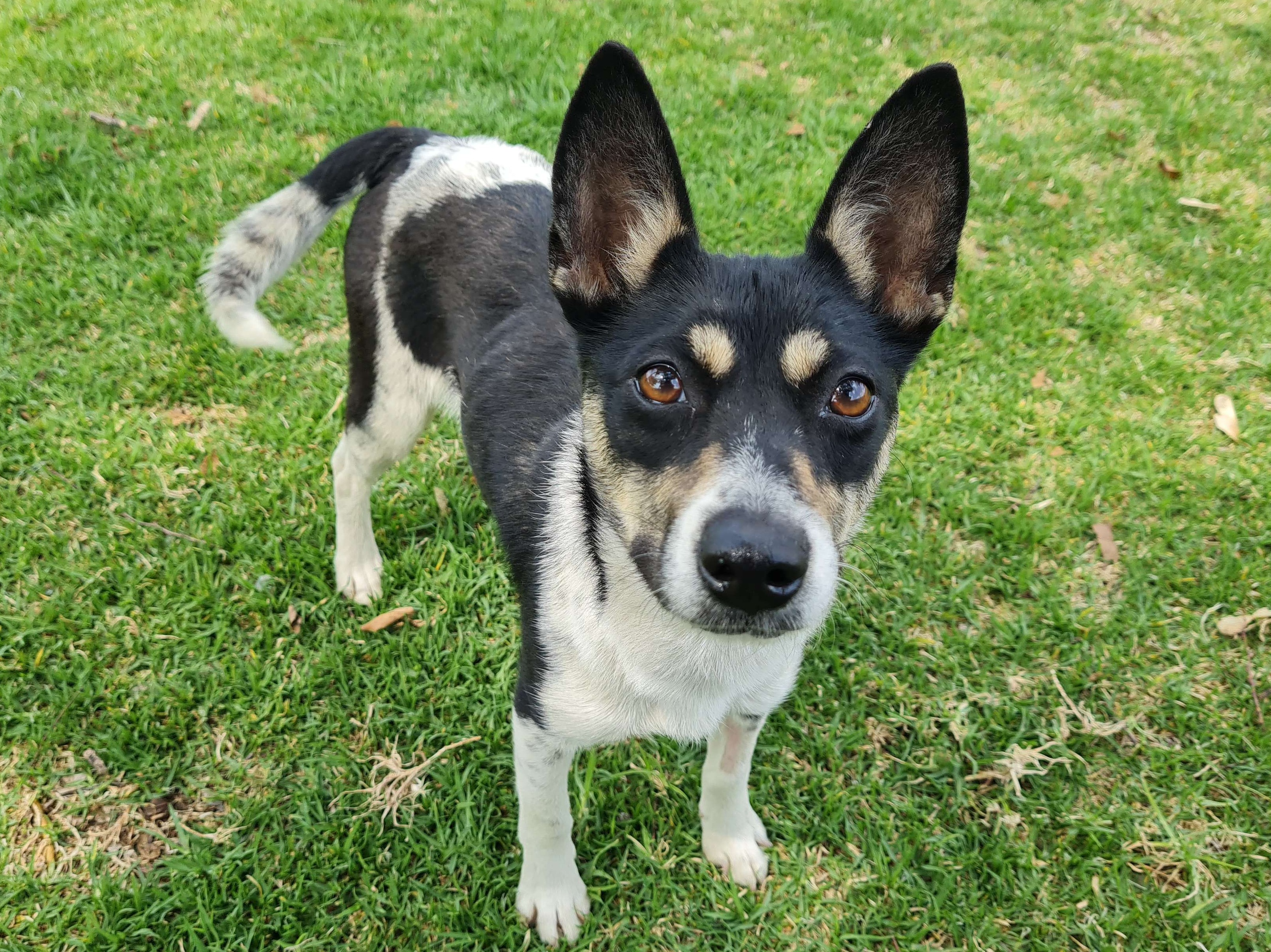 Lena