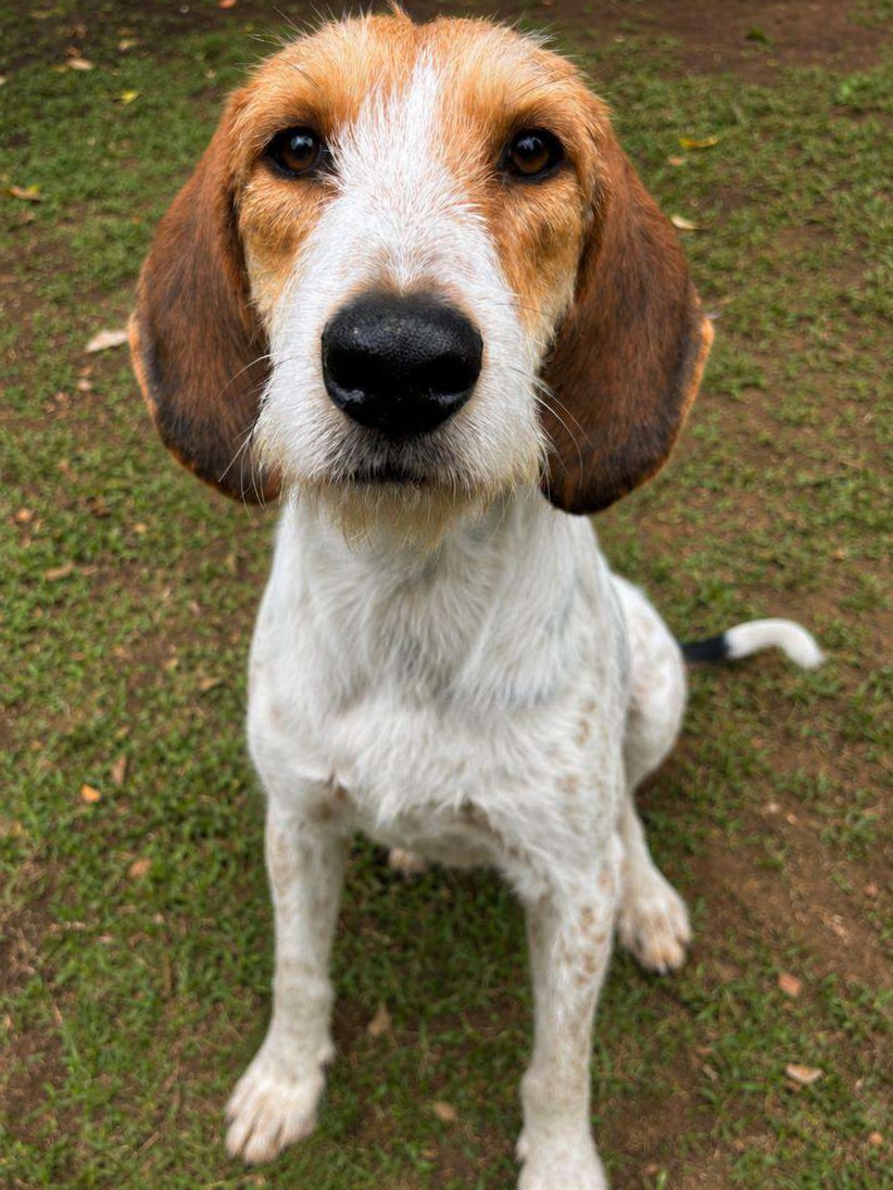 Meeker