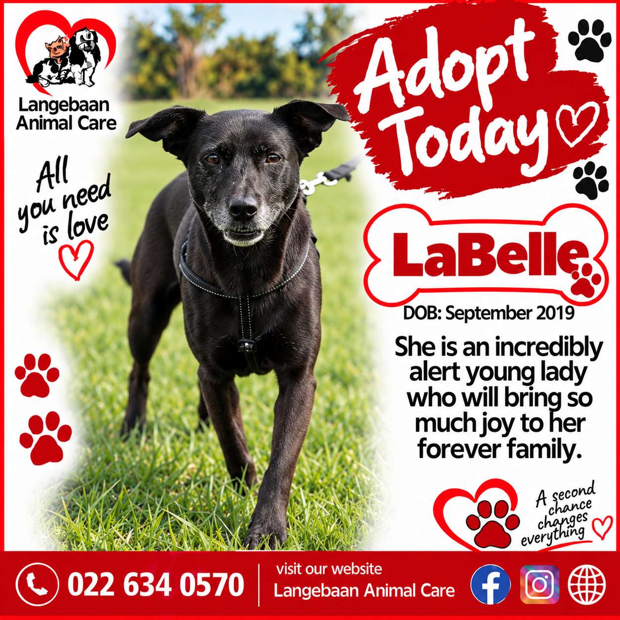 La Belle 