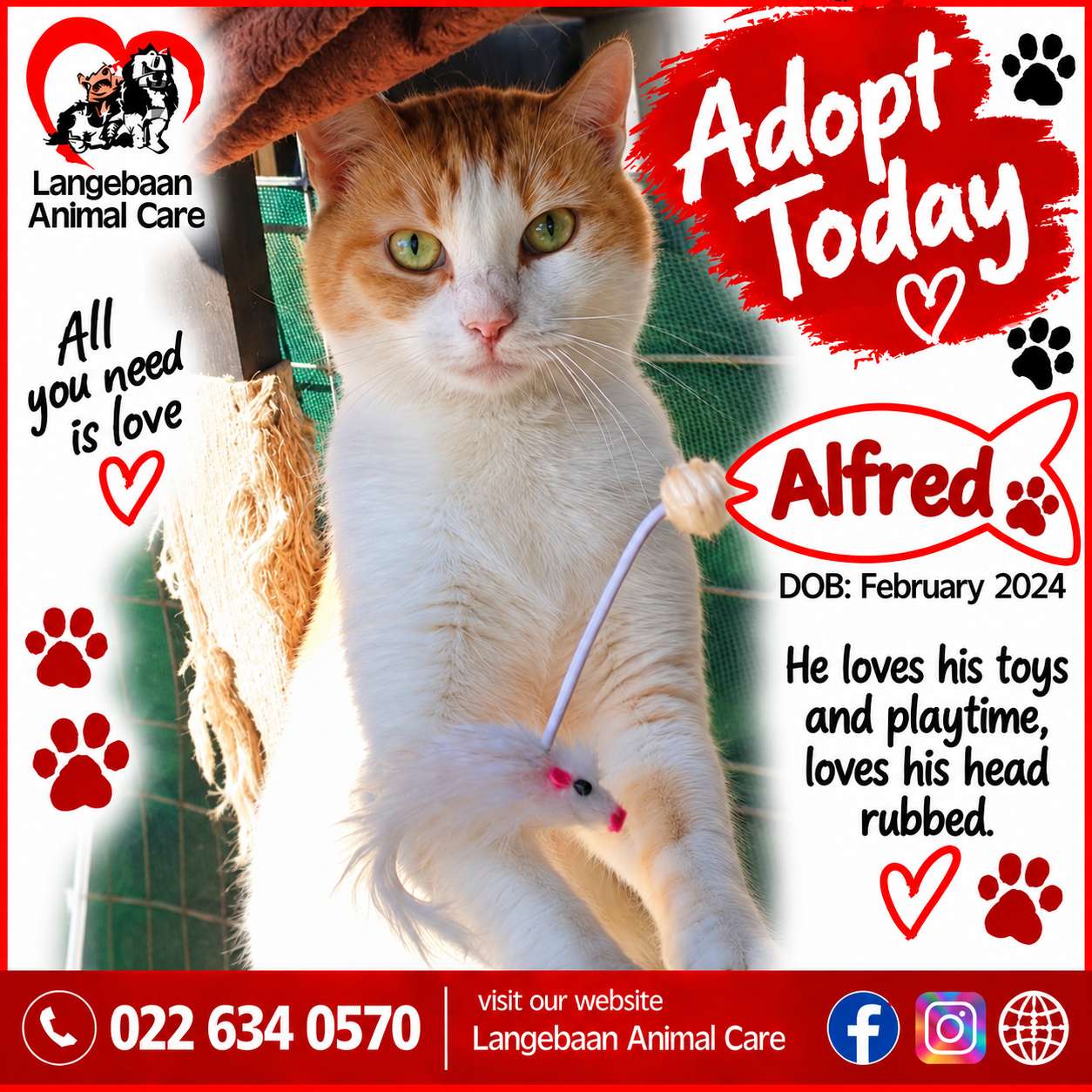 Alfred