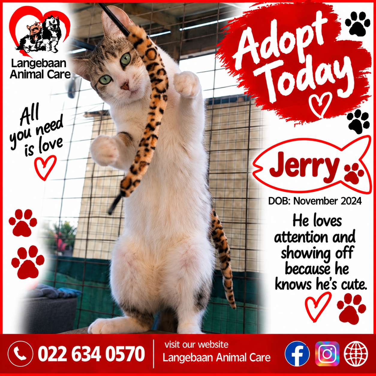 Jerry