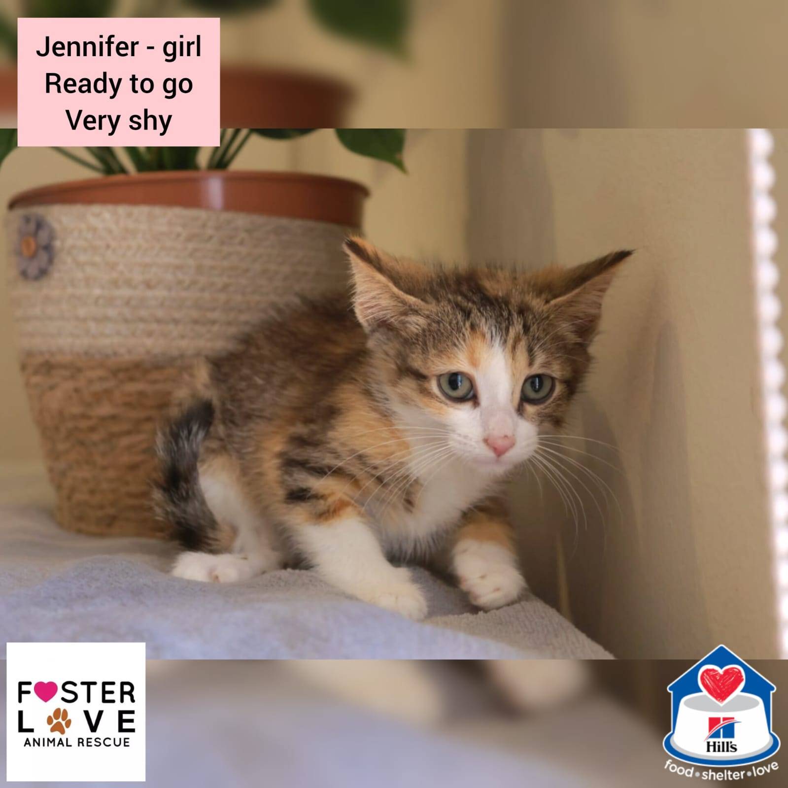 Jennifer
