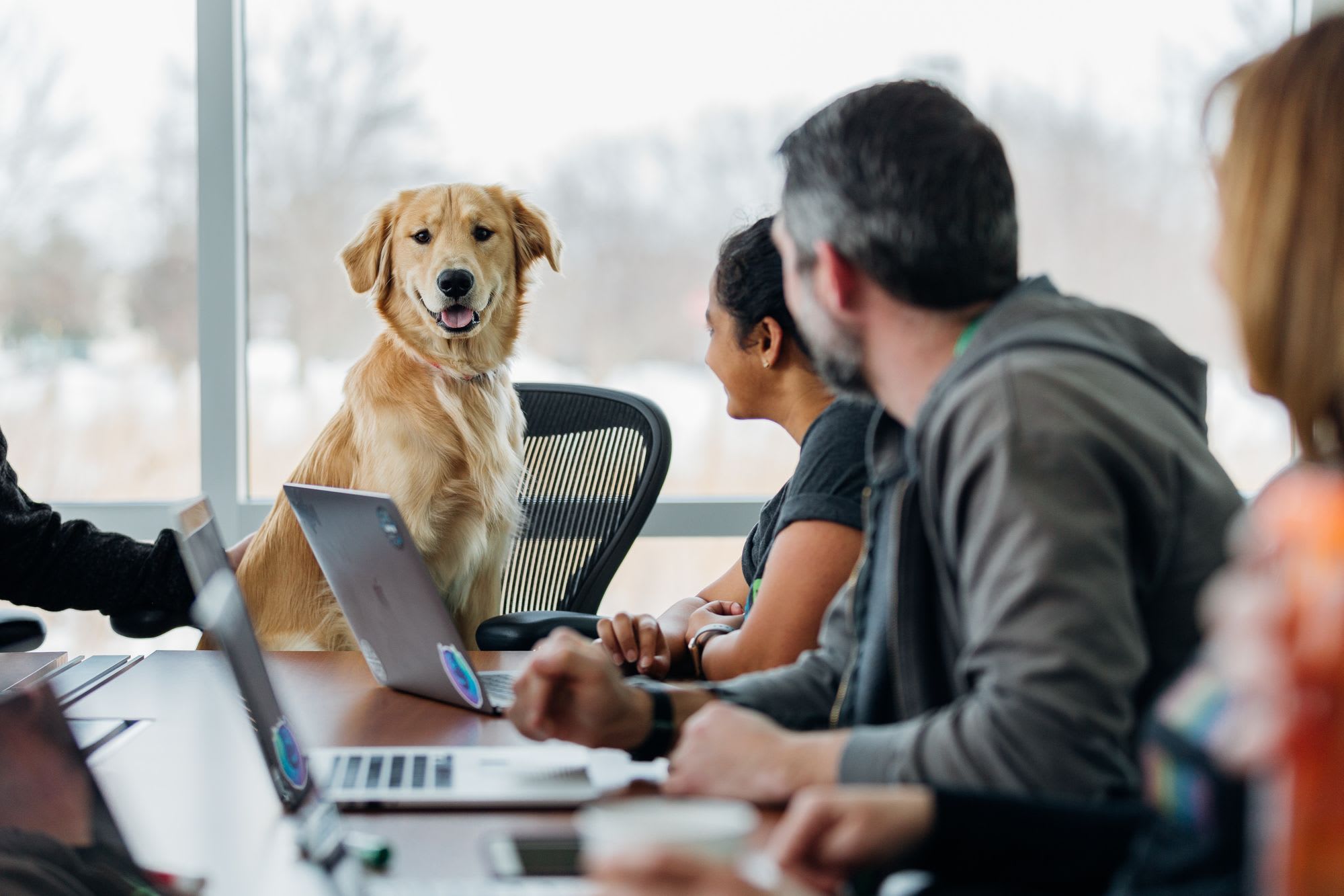 A non-technical guide to interviewing developers