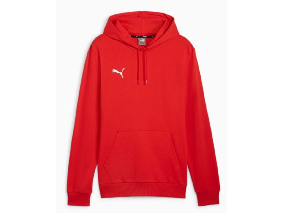 SWEAT CAPUCHE HOMME PUMA TEAMGOAL CASUALS HOODY — SWEAT CAPUCHE