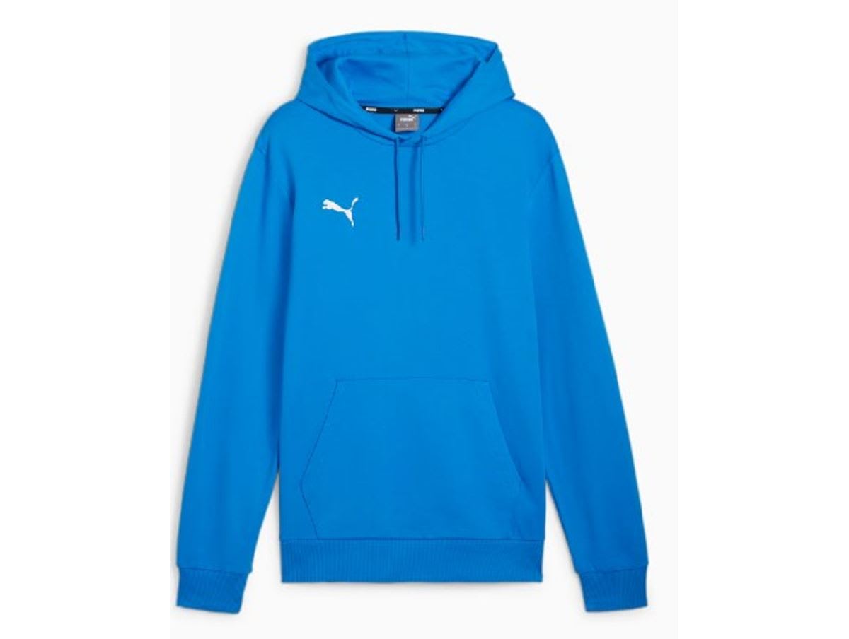 SWEAT CAPUCHE HOMME PUMA TEAMGOAL CASUALS HOODY — SWEAT CAPUCHE