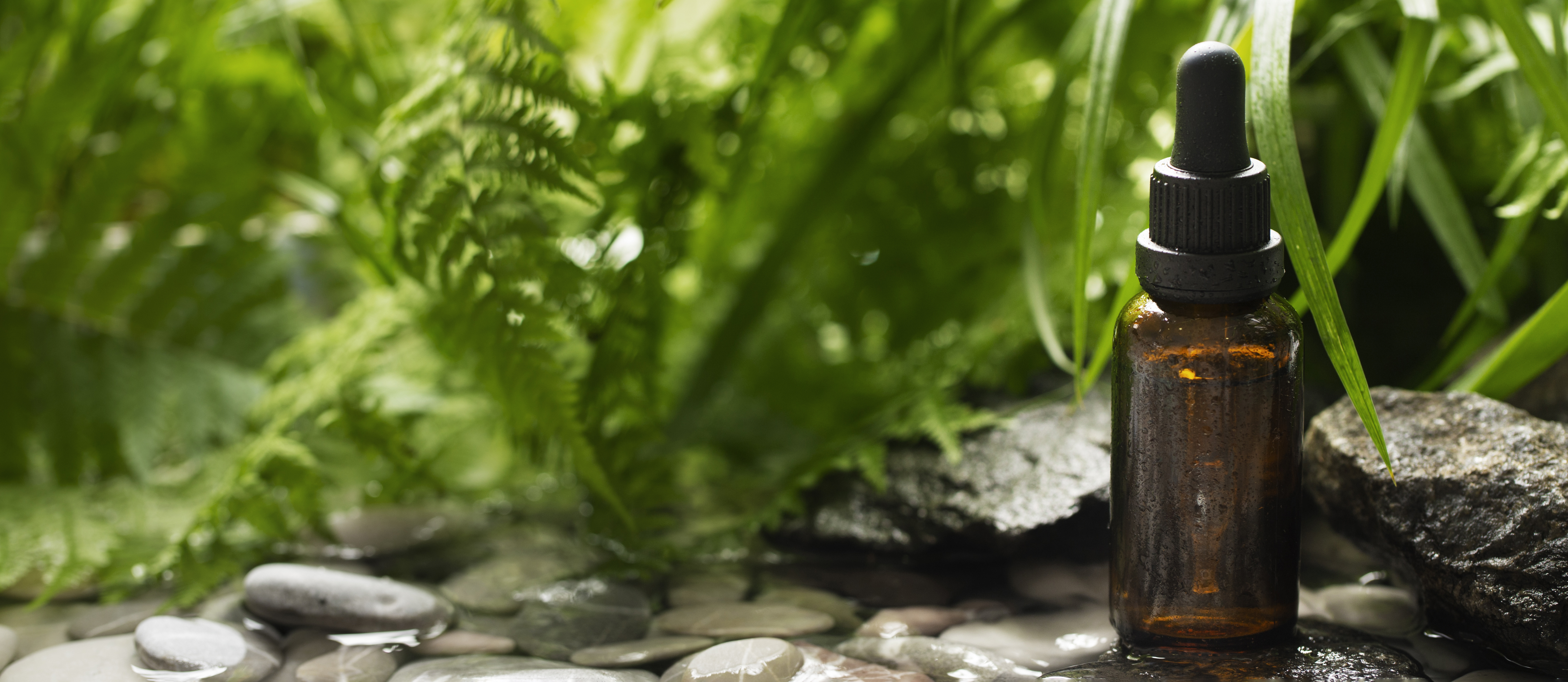 The Healing Power of Nature