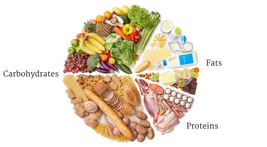 Understanding Macronutrients: Proteins, Carbs, and Fats