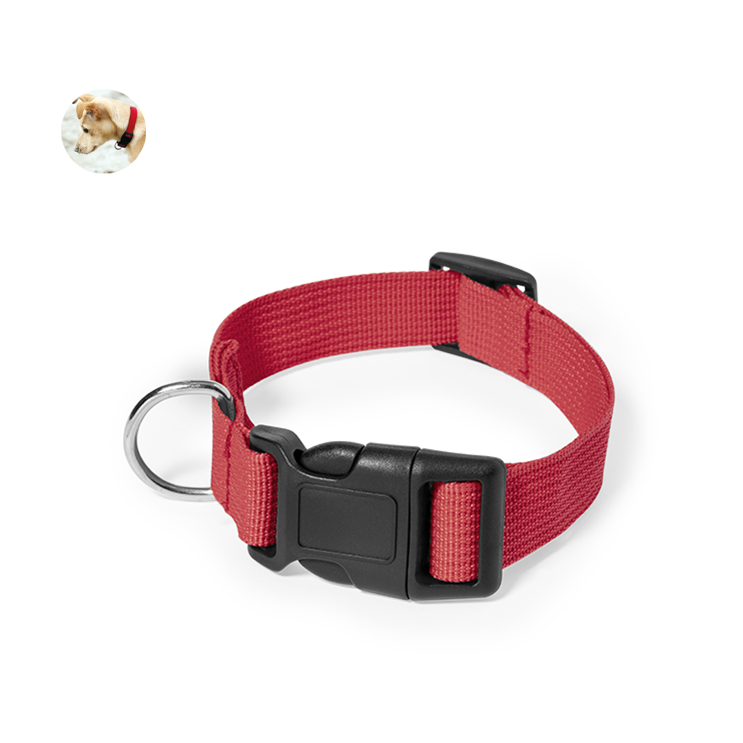 Collier Mastif