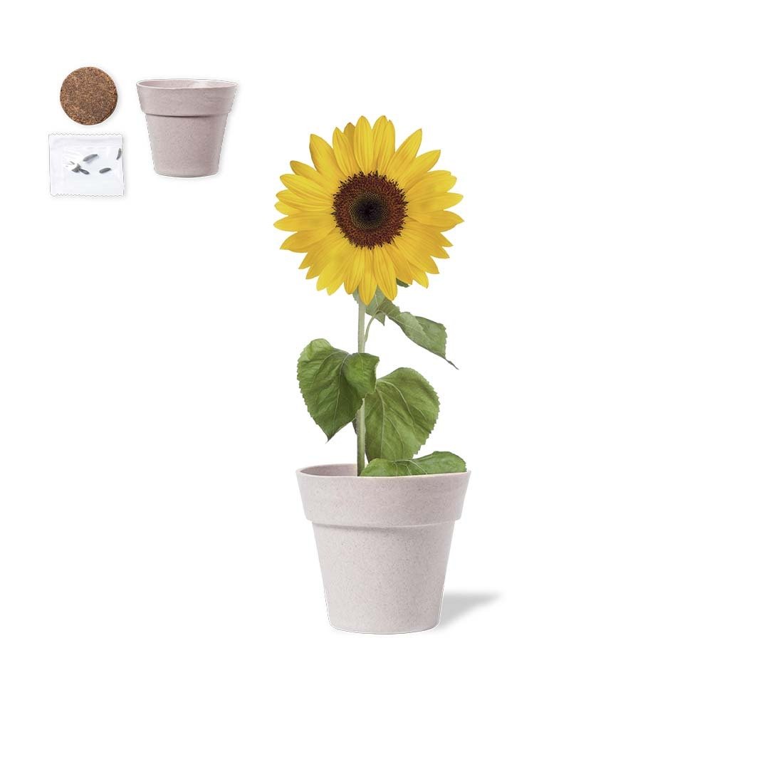 Pot de Fleurs Tumil