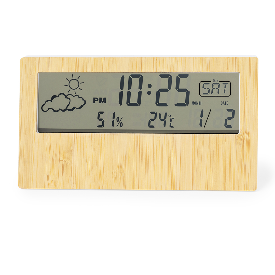 Station Météo Roamer