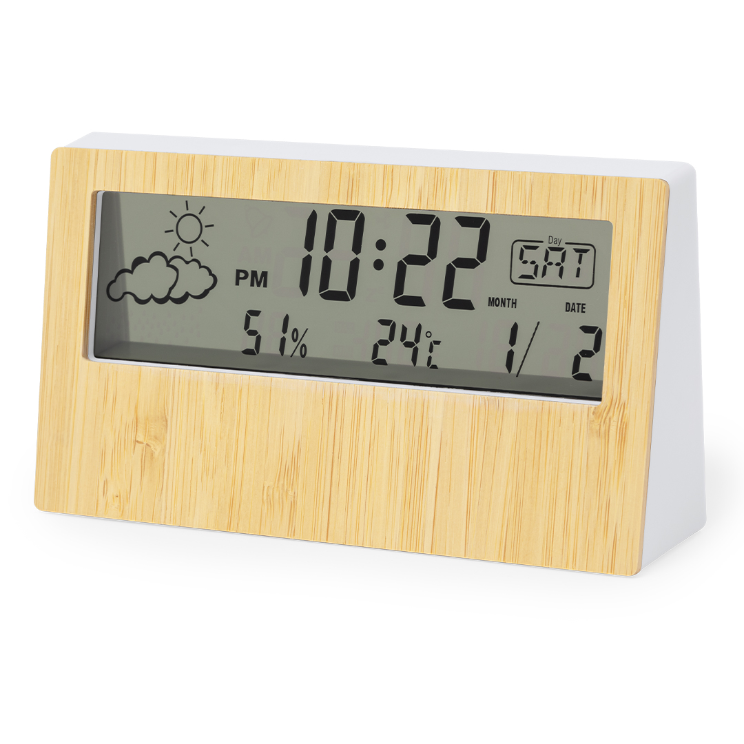 Station Météo Roamer
