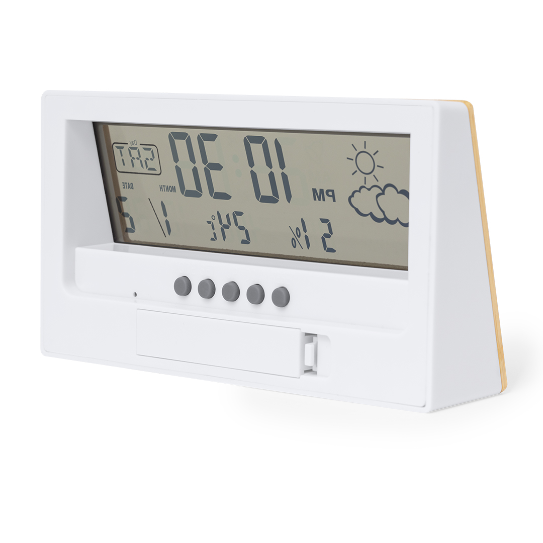 Station Météo Roamer