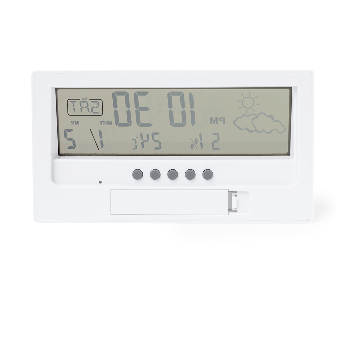Station Météo Roamer